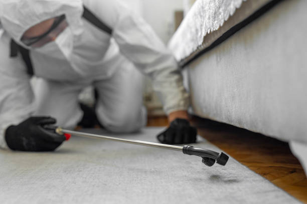 Professional Termite Control technician working in Clute, TX